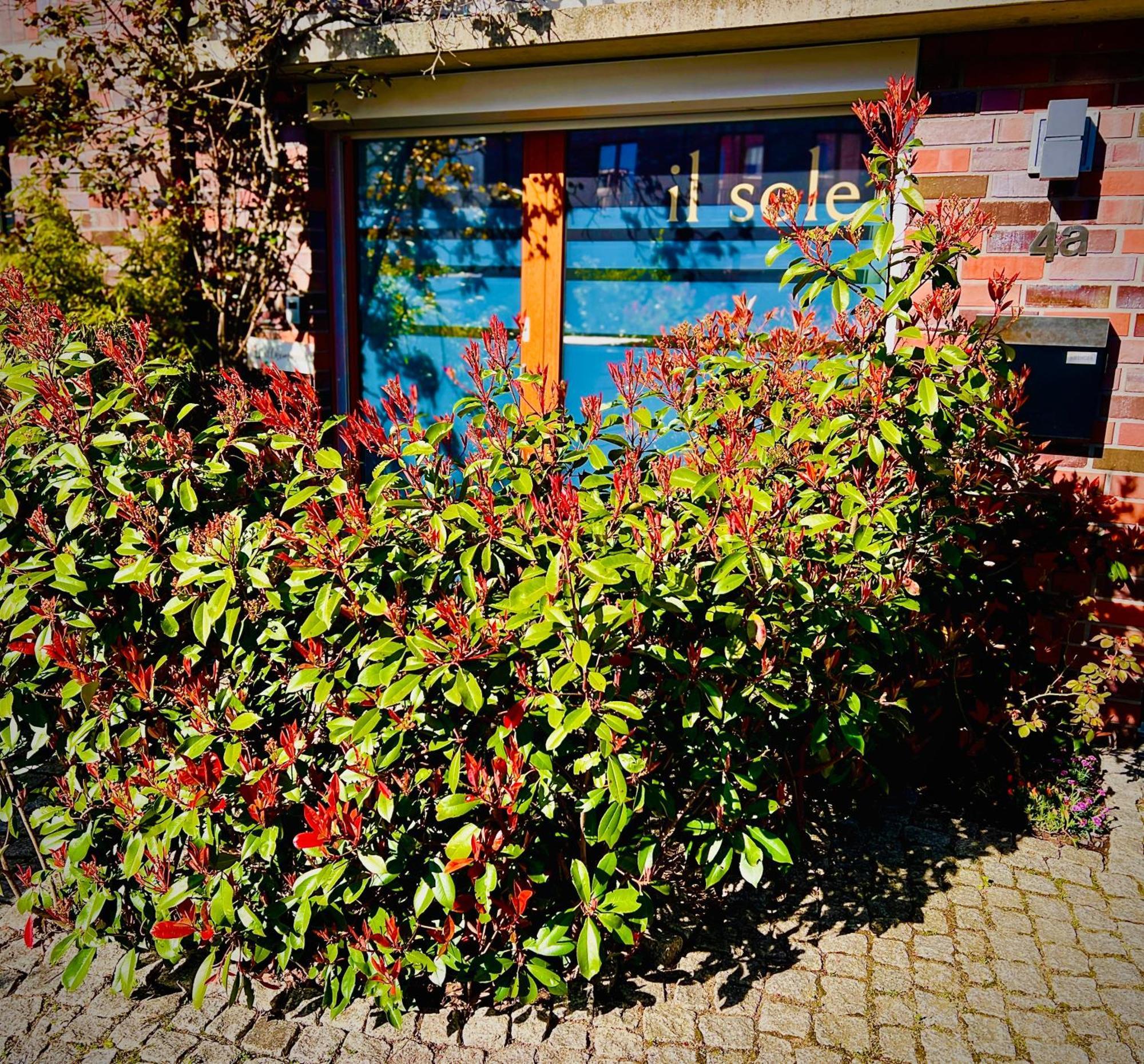 Schoene Aussichten Mitten In Berlin - Il Sole Exterior foto