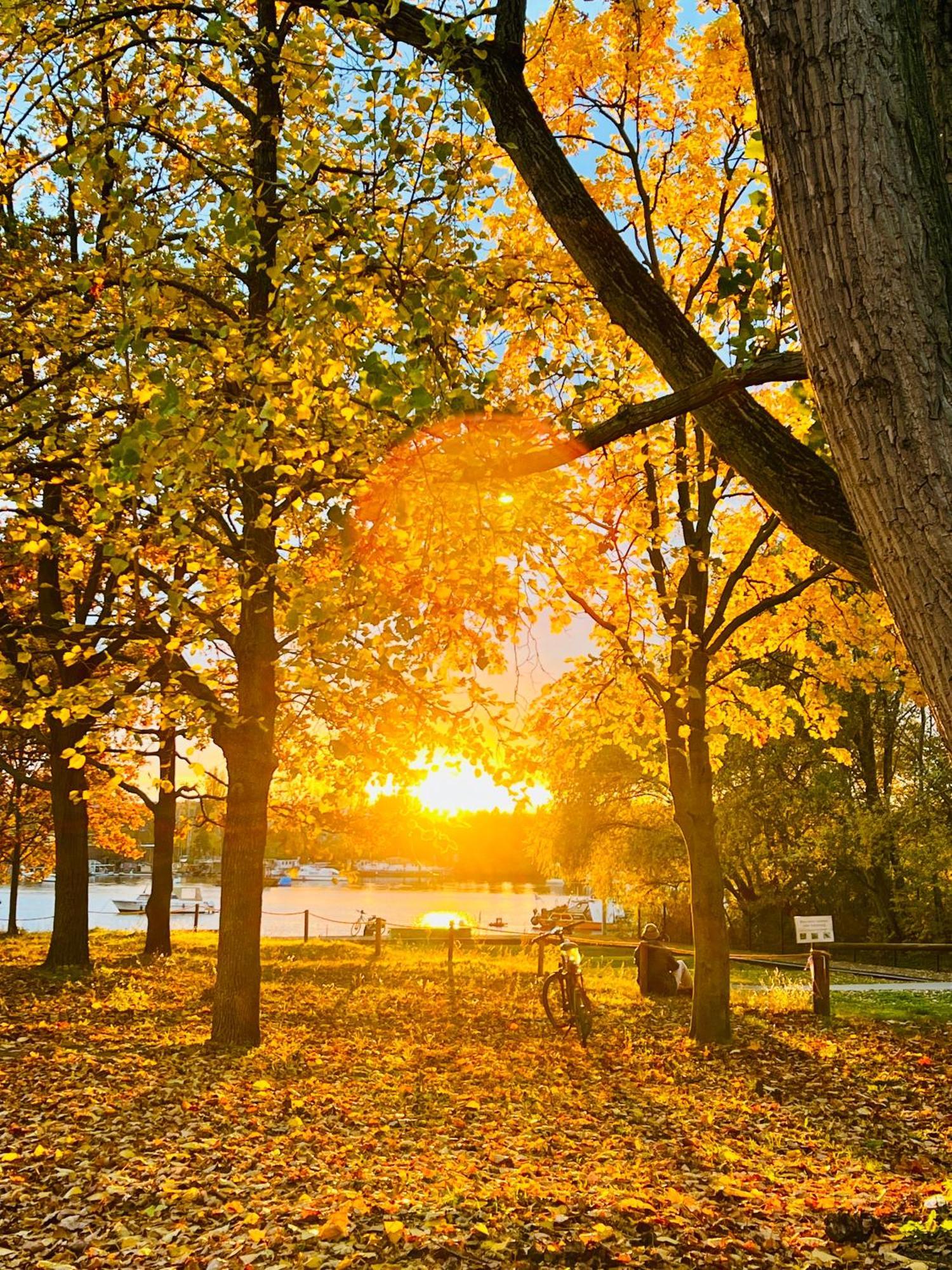 Schoene Aussichten Mitten In Berlin - Il Sole Exterior foto