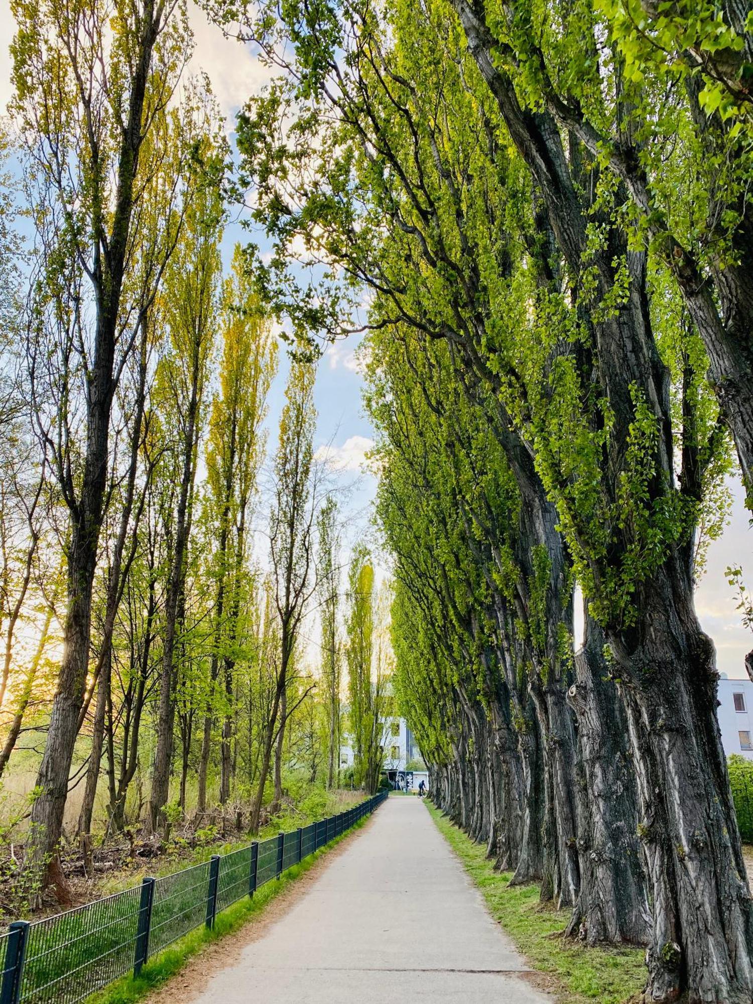 Schoene Aussichten Mitten In Berlin - Il Sole Exterior foto